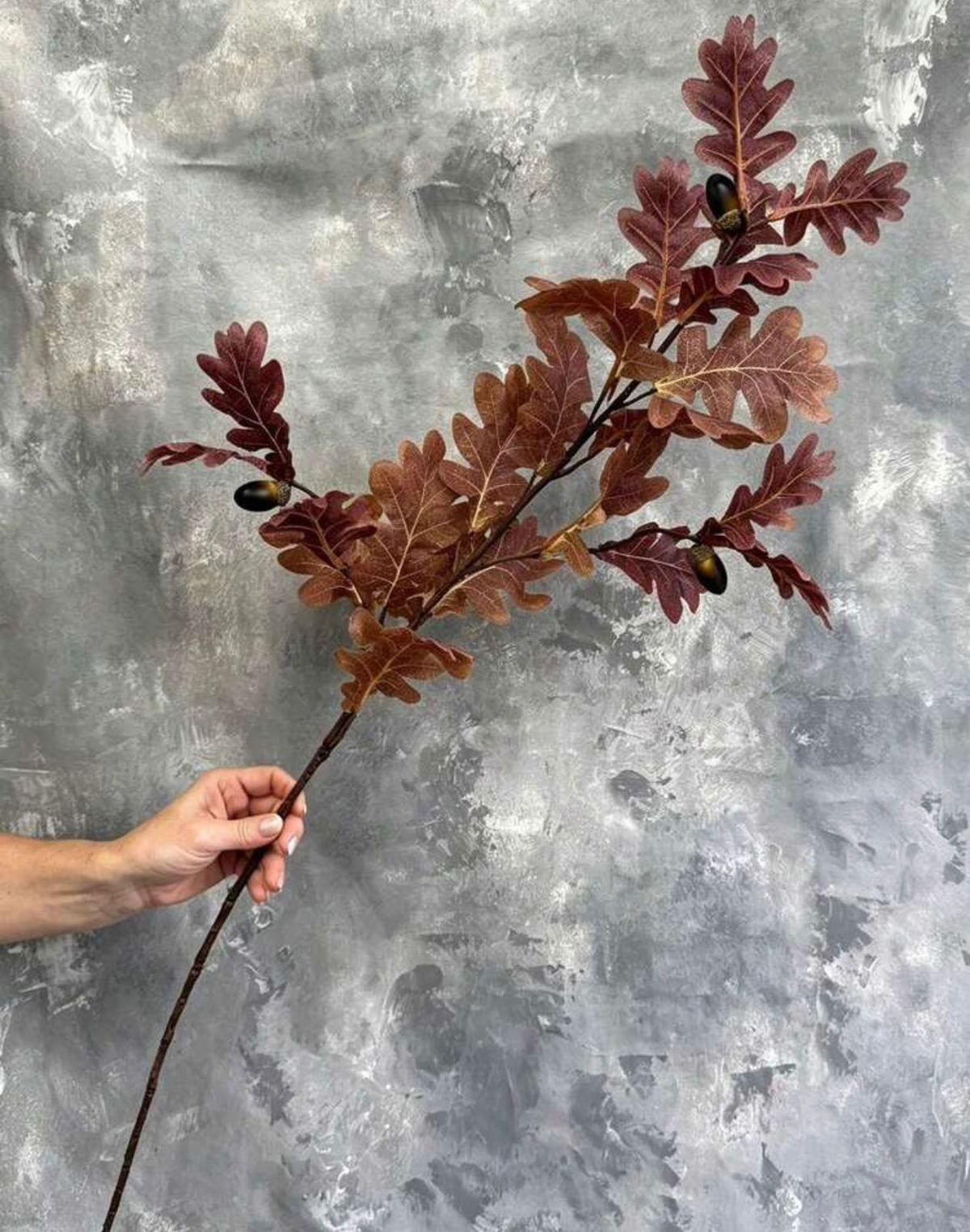 Single faux burgundy oak leaf branch with acorns held in hand showing full length